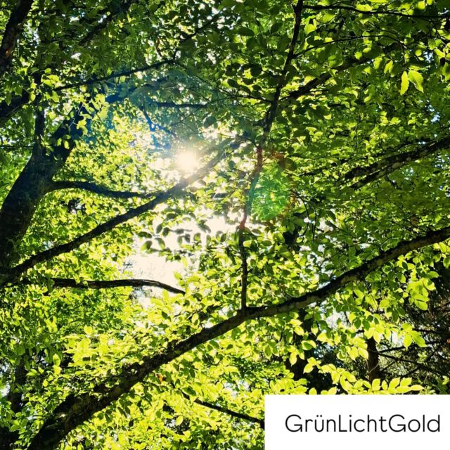 Die Lücke macht das Licht zu Gold. Das Grün veredelt die Lücke, die das Licht hindurch lässt.