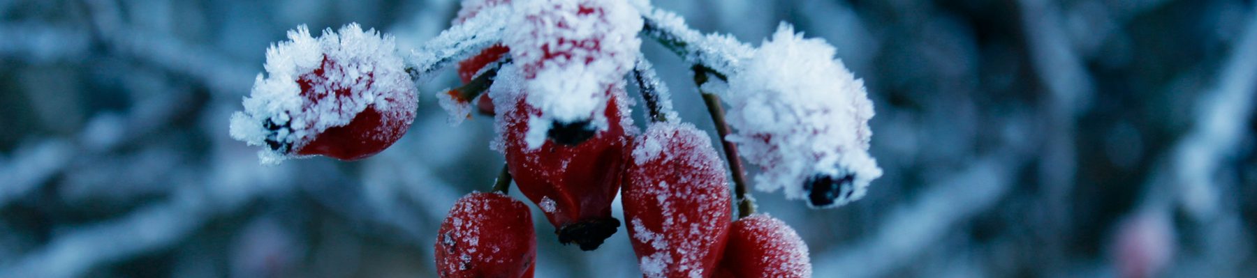 DASGESUNDMAGAZIN VON BIRGIT MATZ