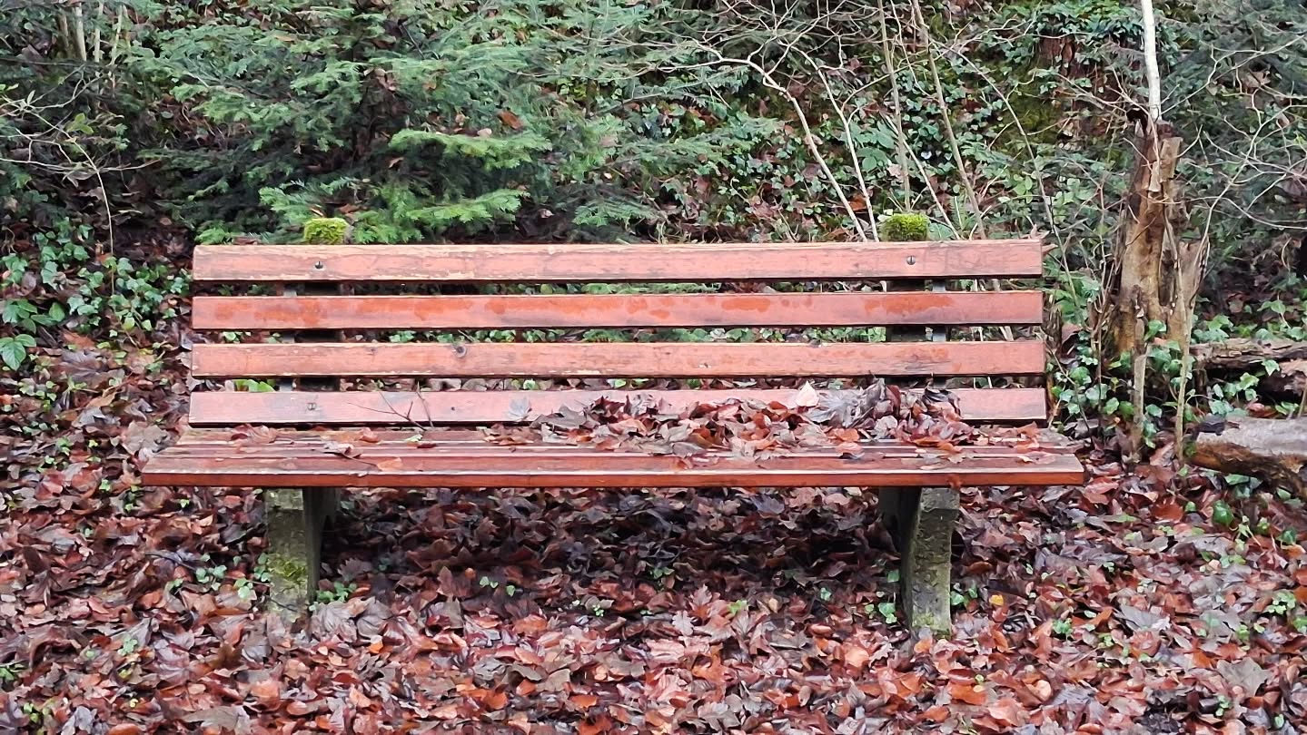 Eingeblättert sein
Eingebettet fühlen  Die Bank ruht sich vom Sommer aus und bereitet sich auf den Winter vor.  Verschnaufpause. ZWISCHENRAUM.
#dasgesundmagazin #birgitmatz #naturspaziergang