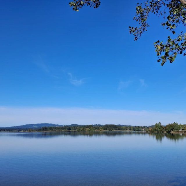 BLAUES LAND
BLAUE KUNST
Blauer HERBST
BLAUER Himmel
Blauer SEE
So viel Blau für die Seele
#birgitmatz #naturliebe #naturspaziergang #murnau #staffelsee #blauereiter #soiersee #dasgesundmagazin #himmelblau #moor