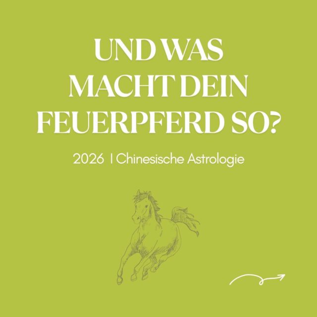 🐎 Wie hast du das FEUERPFERD-Jahr bisher erlebt?
ÜBERHITZT?
GENERVT?
ERSCHÖPFT?
Schreib mir gerne in die Kommentare, wie es dir WIRKLICH geht!
